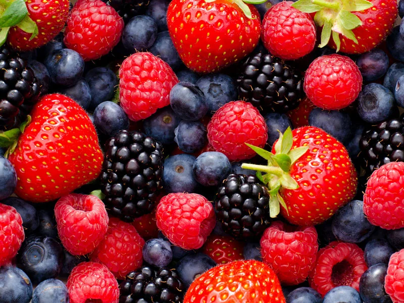 Forest Fruits